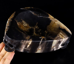 Original Design 7.6" Petrified Wood Branch Carved Crystal Skull Plate, Realistic, Healing