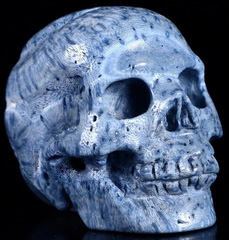 1.9" Blue Sponge Coral Carved Crystal Skull, Realistic, Healing
