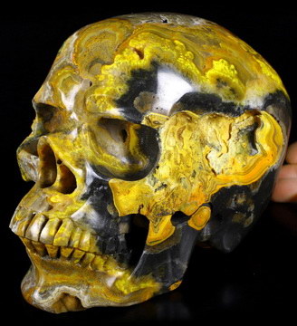 Lifesized GEMSTONE 7.1" Bumble Bee Jasper Carved Crystal Skull, Super Realistic, Crystal Healing