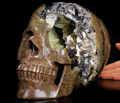 17.3LB Titan 10.9" Dinosaur Egg Agate Carved Crystal Skull, Realistic, Crystal Healing
