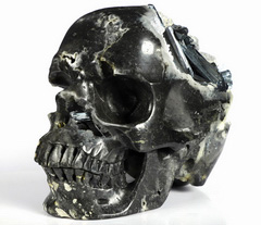 Rare 5.2" Stibnite Geode Carved Crystal Skull, Super Realistic, Crystal Healing