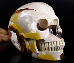 Lifesized 6.7" Mookaite Jasper Carved Crystal Skull, Realistic