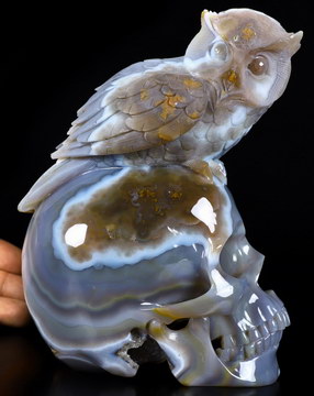 Amazing 5.1" Agate Geode Carved Crystal Skull With Owl Sculpture, Crystal Healing