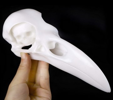 New 8.8" White Jade Carved Crystal Raven Skull With Double Skull in Eyes, Crystal Healing