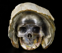 Original 2.0" Petrified Wood BRANCH Carved Crystal Skull Sculpture, Crystal Healing