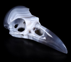 4.8" Gray & White Agate Carved Crystal Raven Skull Pendant, Crystal Healing