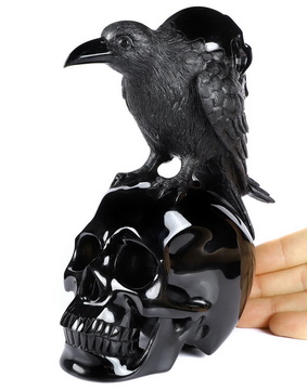 Huge 6.7" Black Obsidian Carved Crystal Skull With RaVen Skull Standing Suclpture, Crystal Healing