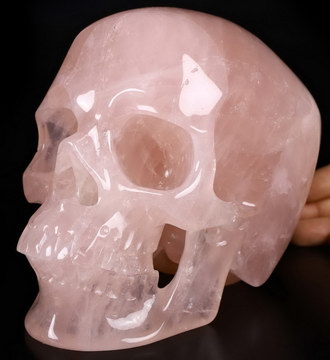 Lifesized 7.1" Rose Quartz Carved Crystal Skull,Super Realistic, Crystal Healing