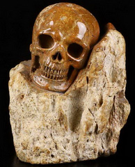 Huge 4.2" Petrified Wood BRANCH Carved Crystal Skull, Crystal Healing