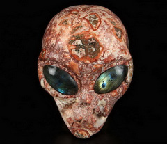 Huge 4.3" Leopard Skin Jasper Carved Crystal Female Alien Skull, Labradorite Eyes, Realistic, Crystal Healing