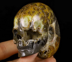 Huge 3.2" Ammonite Fossil Geode Carved Crystal Skull, Crystal Healing