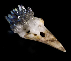 Rainbow 2.6" Quartz Rock Crystal Carved Crystal Druse Raven Skull, Crystal Healing