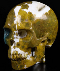 Huge 4.7" Ocean Jasper Carved Crystal Skull WIth Spine, Crystal Healing