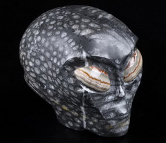 Huge 4.1" Gray Coral Fossil Star Being Female Alien Crystal Skull Companion with Red Crazy Lace Eyes, Hand Carved Gemstone Fine Art Sculpture,, Reiki Healing Stone Statue
