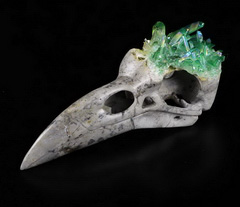 5.0" Green Rainbow Aura Quartz Druse Carved Crystal Raven Skull Pendant, Crystal Healing