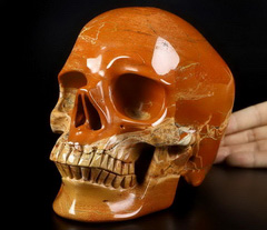 Lifesized 6.7" Red Jasper Carved Crystal Skull,Super Realistic, Crystal Healing