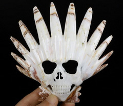 5.4" Shell Carved Crystal Skull Mask, Crystal Healing