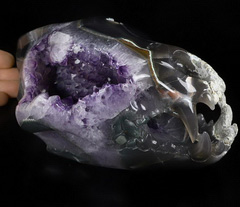 Giant 8.4" Agate Amethyst Geode Carved Crystal Wolf Skull Sculpture, Crystal Healing