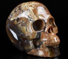 Huge 5.0" Dinosaur Egg Agate Carved Crystal Skull, Realistic, Crystal Healing