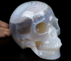 Lifesized Geode 6.8" Gray & White Agate Carved Crystal Skull, Realistic, Crystal Healing