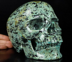 Lifesized 7.3" African Turquoise Carved Crystal Skull,Super Realistic, Crystal Healing