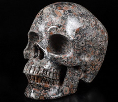 Unusual 5.0" Crinoid Fossil Carved Crystal Skull,Super Realistic, Crystal Healing