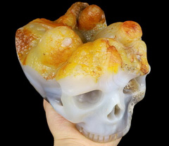 Mineral Specimen Druse 6.1" Agate Carved Crystal Skull, Crystal Healing