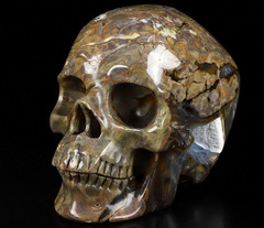 Geode Huge 5.0" Dinosaur Egg Agate Carved Crystal Skull,Super Realistic, Crystal Healing