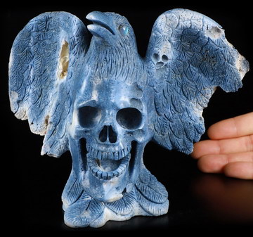 AWESOME 7.2" Blue Sponge Coral Carved Crystal Skull Eagle, Crystal Healing