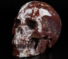 New Stone Huge 5.0" Red Moss Agate Carved Crystal Skull, Realistic, Crystal Healing