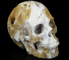 5.0" Indonesian Agate Carved Crystal Skull, Realistic, Crystal Healing