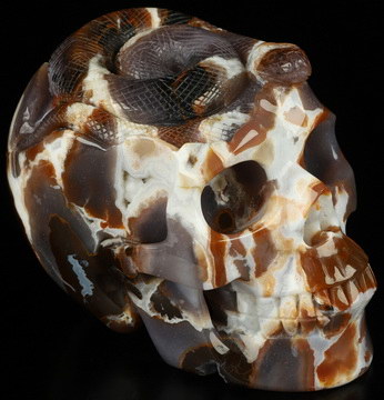 5.1" Black Zebra Agate Carved Crystal Skull & Snake, Realistic