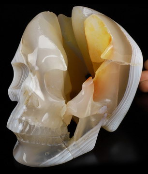 Awesome Lifesized 6.9" Gray & White Agate Carved Crystal Detachable Skull,Super Realistic, Crystal Healing