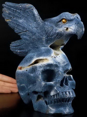 Original 8.2" Blue Sponge Coral Carved Crystal Skull & Eagle, Crystal Healing
