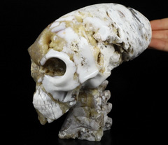6.1" Indonesian Agate Carved Elongated Mayan Alien Skull & Spine, Crystal Healing