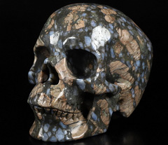 Huge 5.0" Que Sera Stone Llanite Carved Crystal Skull,Super Realistic, Crystal Healing
