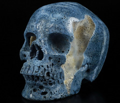 Huge 5.1" Blue Sponge Coral Carved Crystal Skull,Super Realistic, Crystal Healing