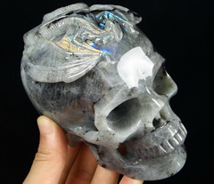 5.2" Labradorite Carved Crystal Skull & Western Dragon, Realistic, Crystal Healing
