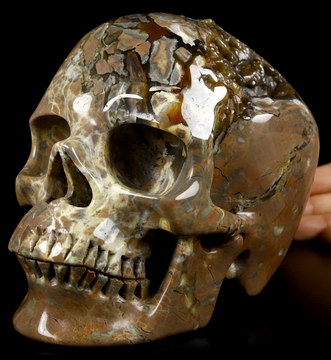 Lifesized 6.9" Dinosaur Egg Agate Carved Crystal Skull,Super Realistic, Crystal Healing