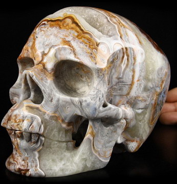 Gemstone Lifesized 7.0" Red Crazy Lace Agate Carved Crystal Skull,Super Realistic, Crystal Healing