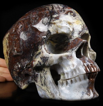 Gemstone Lifesized 7.0" Red Pietersite Carved Crystal Skull,Super Realistic, Crystal Healing
