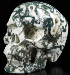 Huge 5.0" Tree Agate Carved Crystal Skull,Super Realistic, Crystal Healing