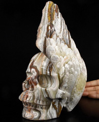 AWESOME GEODE 9.3" Red Crazy Lace Agate Carved Crystal Skull & Wing, Crystal Healing