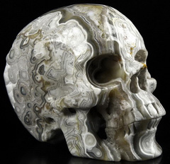 5.1" Crazy Lace Agate Carved Crystal Skull,Super Realistic, Crystal Healing