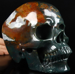 6.9" Bloodstone Carved Crystal Skull,Super Realistic, Crystal Healing