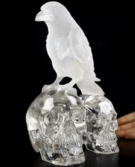 6.7" Quartz Rock Crystal Carved Crystal Skull & Raven Sculpture, Crystal Healing
