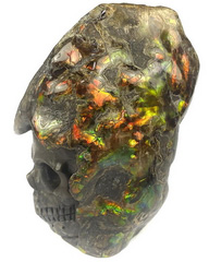 Gemstone 3.5" Ammolite Crystal Skull,Realistic, Crystal Healing