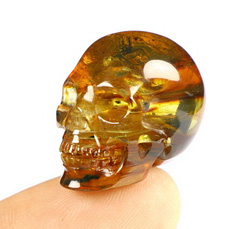 Mosquito Specimen 0.9" Baltic Amber Carved Crystal Skull,Realistic, Crystal Healing