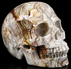 Huge 5.1" Crazy Lace Agate Carved Crystal Skull,Realistic, Crystal Healing