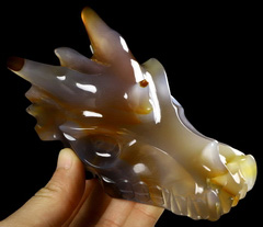 5.0" Premium Brazilian Agate Carved Crystal Dragon Skull, Crystal Healing